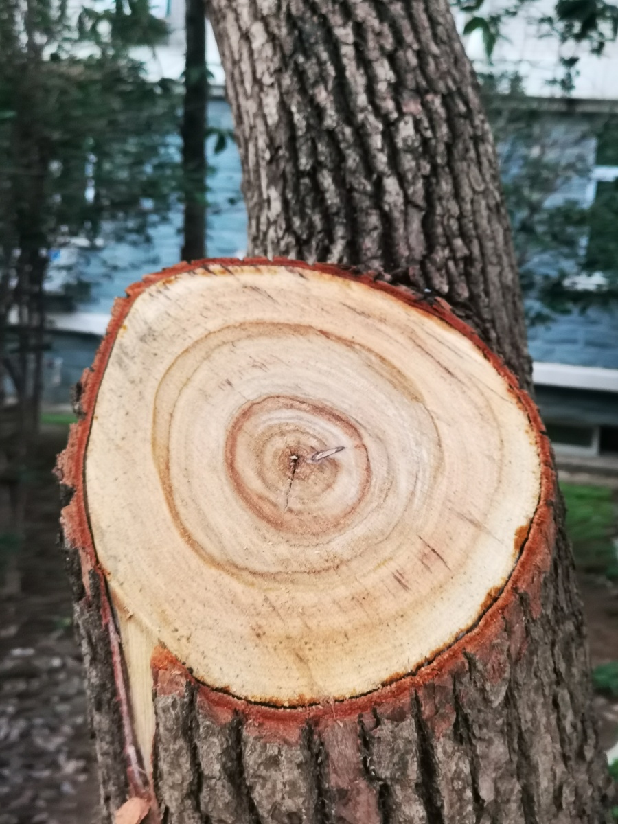 江苏摄影俱乐部1/121萌m妞2020年9月16日902关注年轮风光摄影圈南京摄