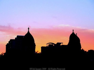 2557300_90596105.jpg