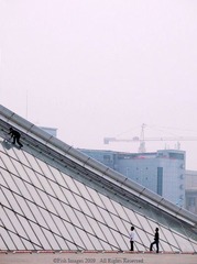 2557300_90595080.jpg
