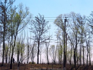 2557300_90594402.jpg