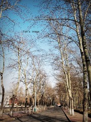 2557300_59116194.jpg