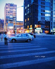 2557300_59116134.jpg