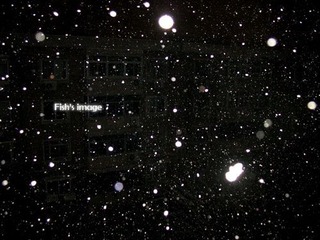 2557300_39743043.jpg