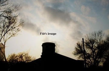 2557300_34843939.jpg