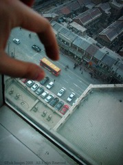 2557300_90596497.jpg
