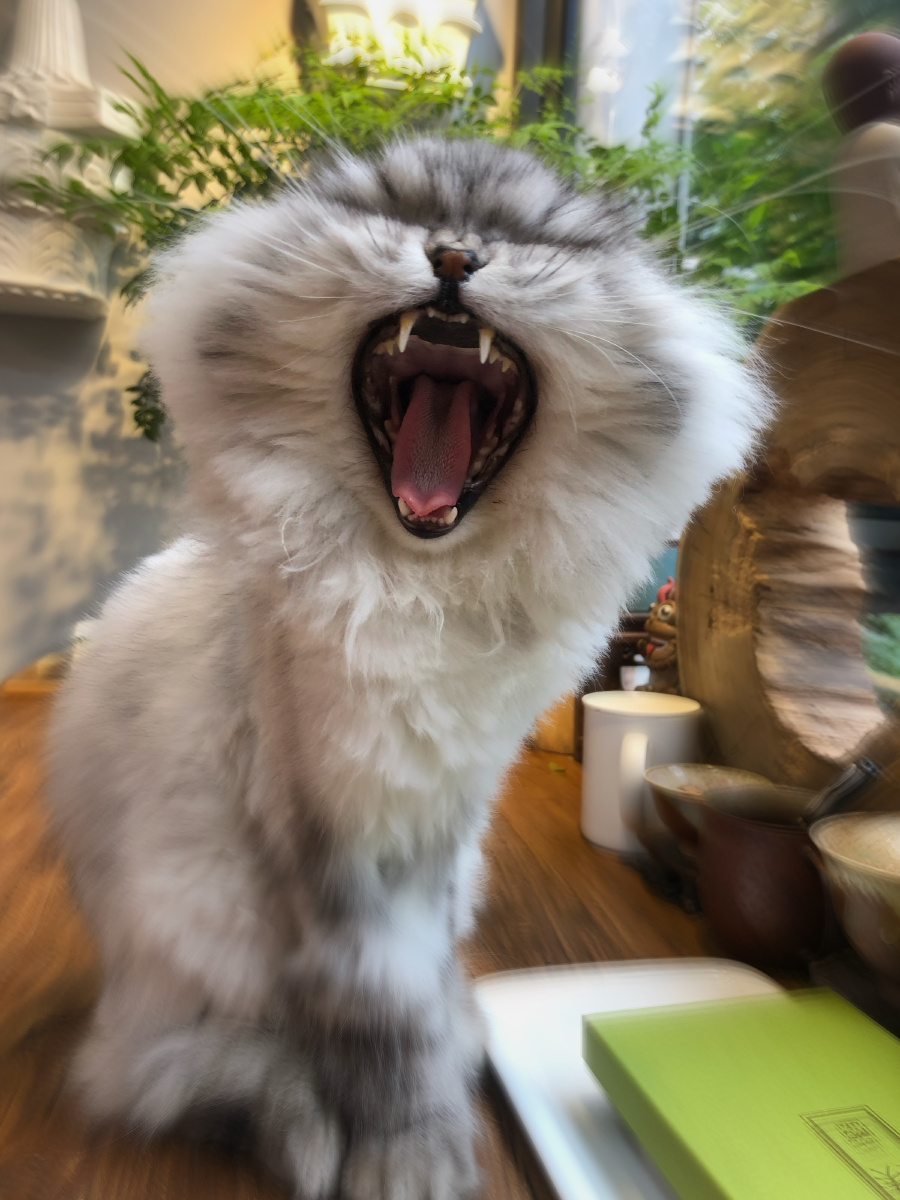 我不发飙你当我是hellokitty吗