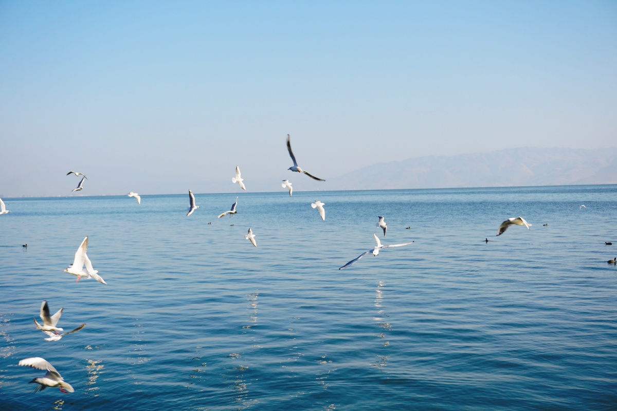 大理真的随手一拍就是壁纸