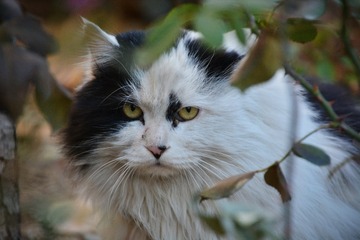 2016-12-01 07.17.19 1