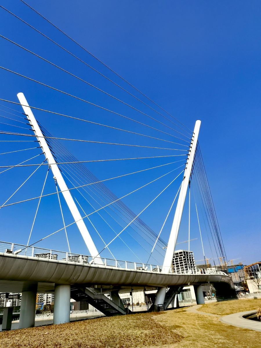 无锡映月湖中央公园景观步行桥