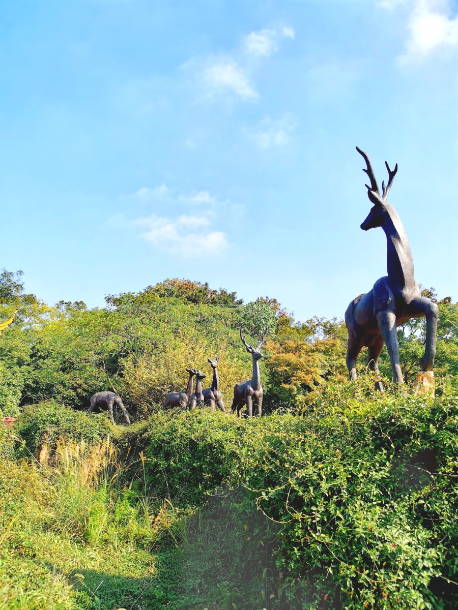 无锡鼋头渚鹿顶山