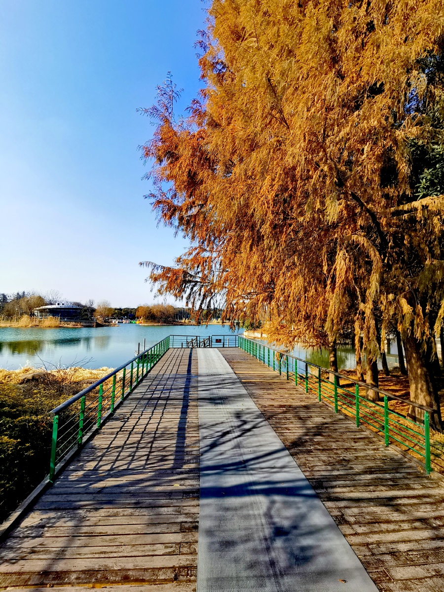 无锡尚贤河湿地公园