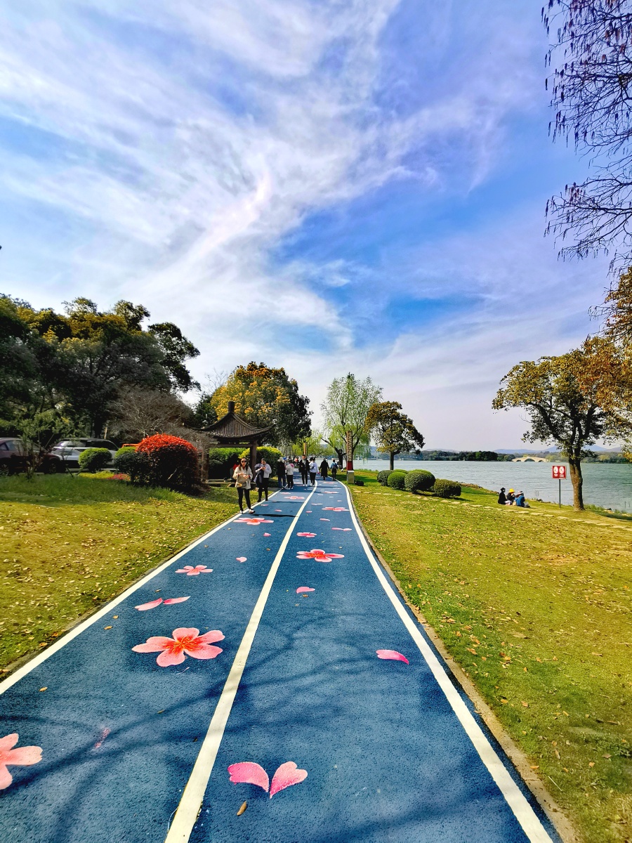 无锡鼋头渚十里芳径彩绘樱花大道 - 爱旅游568 - 图虫