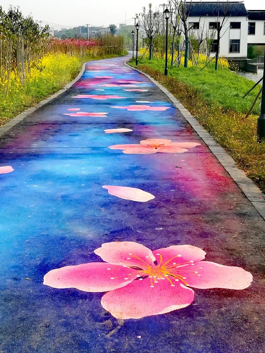 全国首创彩绘桃花大道拍摄于无锡阳山