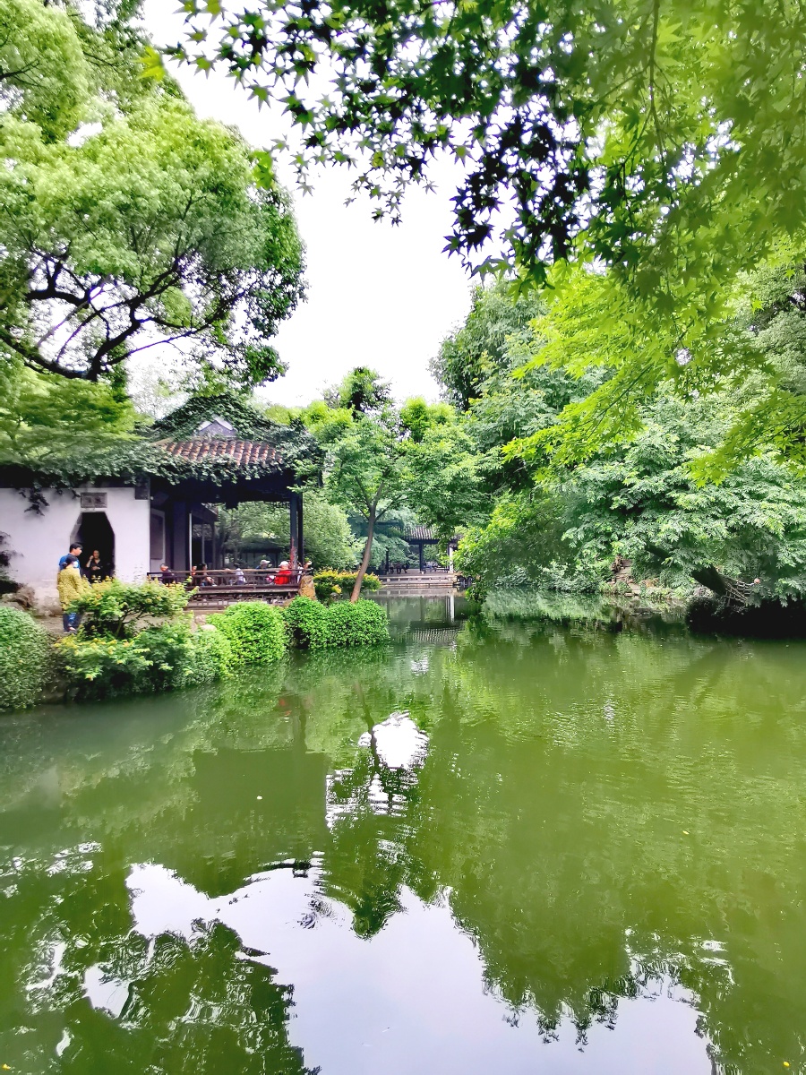 初夏无锡寄畅园
