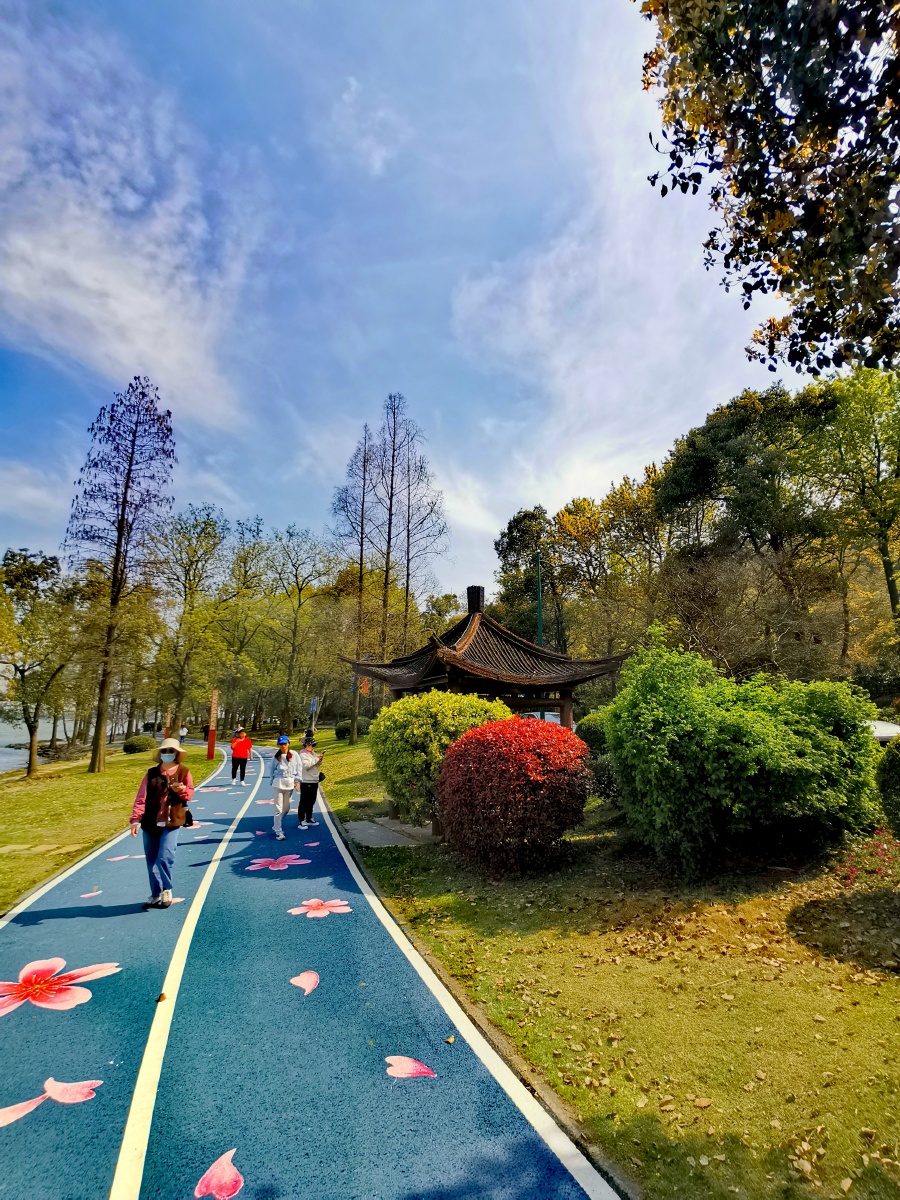 无锡鼋头渚十里芳径彩绘樱花大道