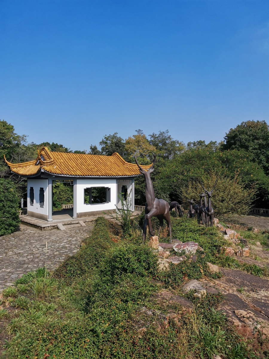 无锡鼋头渚鹿顶山