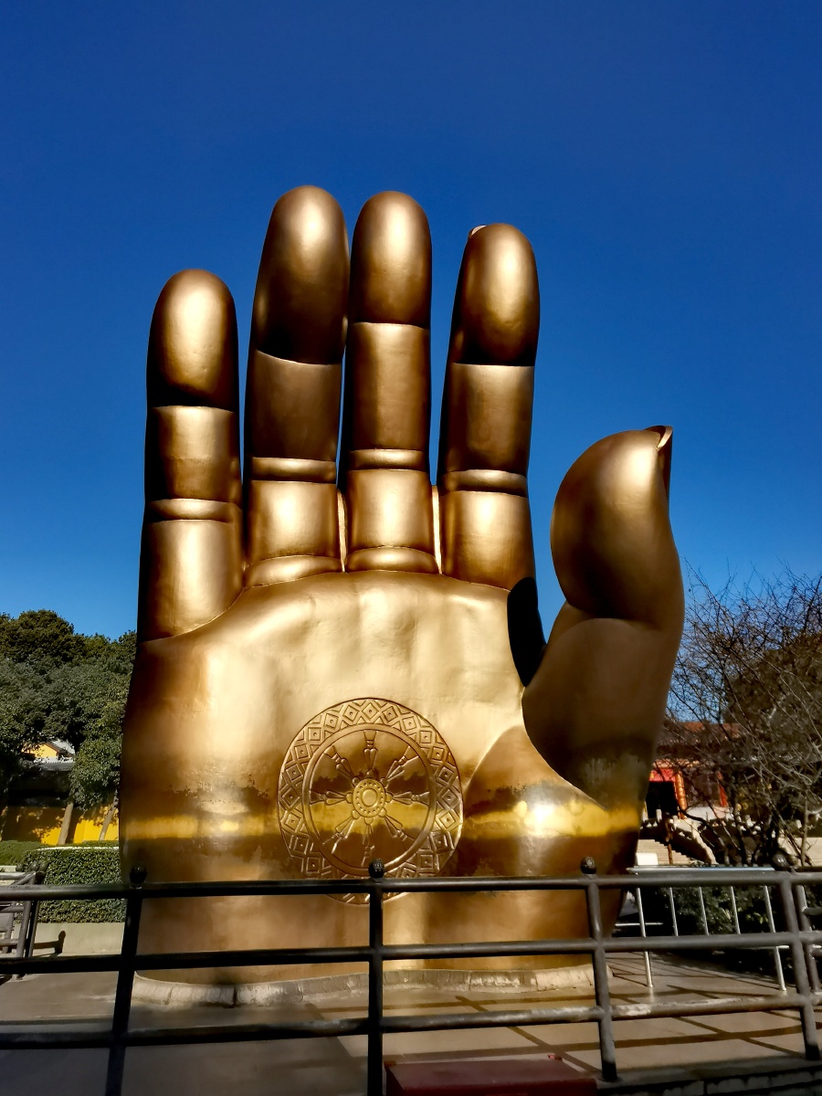 佛手拍摄于无锡灵山胜境