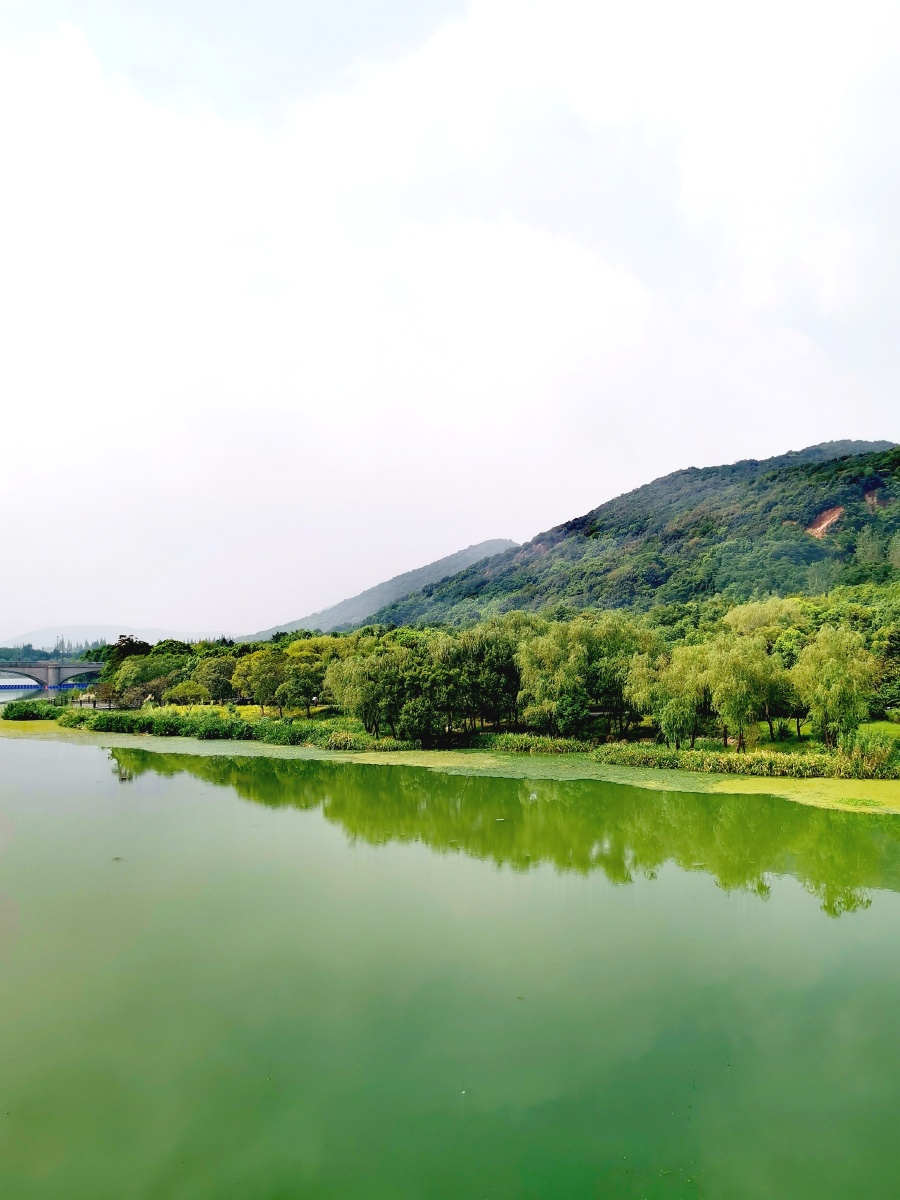 无锡长广溪湿地公园