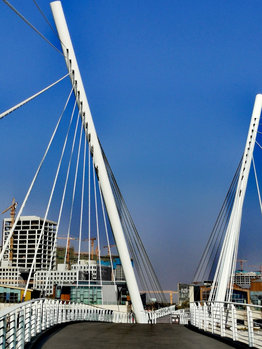 无锡映月湖中央公园景观步行桥