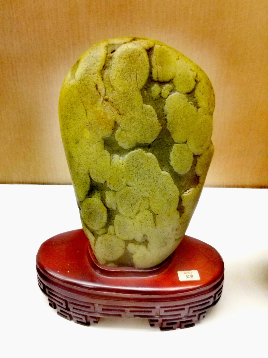 争奇斗艳的奇石二拍摄于浙江衢州青石镇