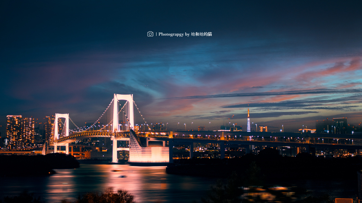 台场夏夜 - 她和他的猫yn - 图虫