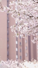 B975A0D9-74F4-40F3-B90E-3EAB0E8C8995/L0/001