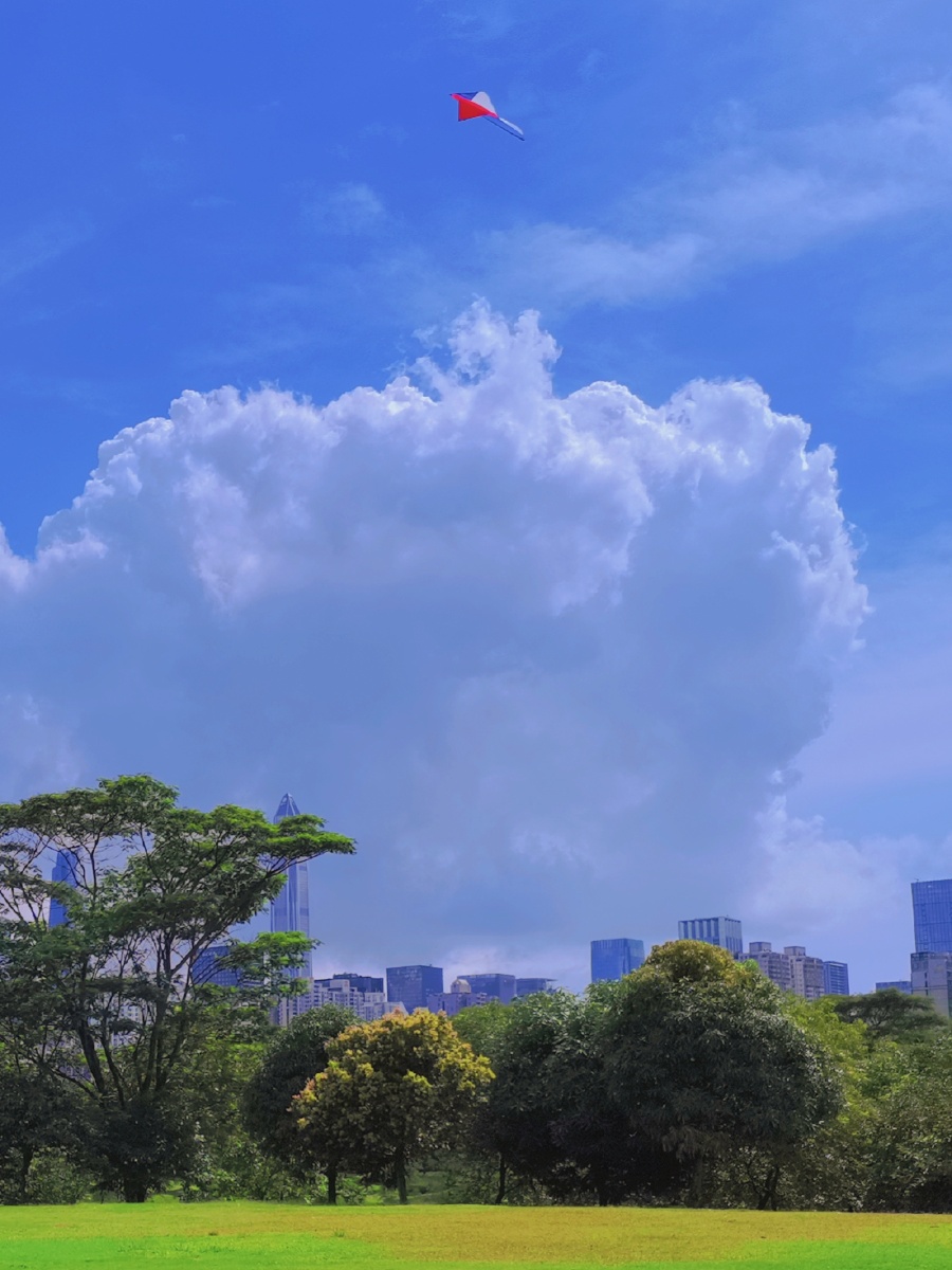 的深圳,宛若漫画里的场景 直接手机原相机拍摄风景图,切记找个大晴天!
