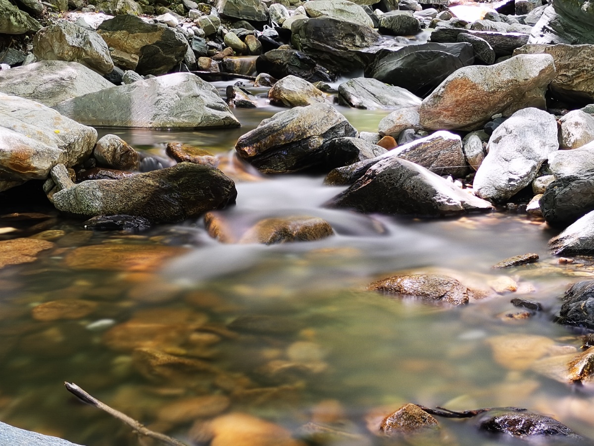 夏日的河边格外的清凉