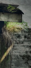 4A9E0AB6-84EB-4A8D-8949-109BF6B5CD6B/L0/001