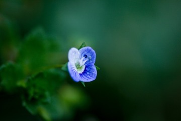 1041