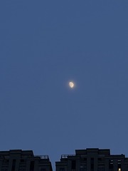 880B13A9-F7ED-401F-9359-A697956589E2/L0/001
