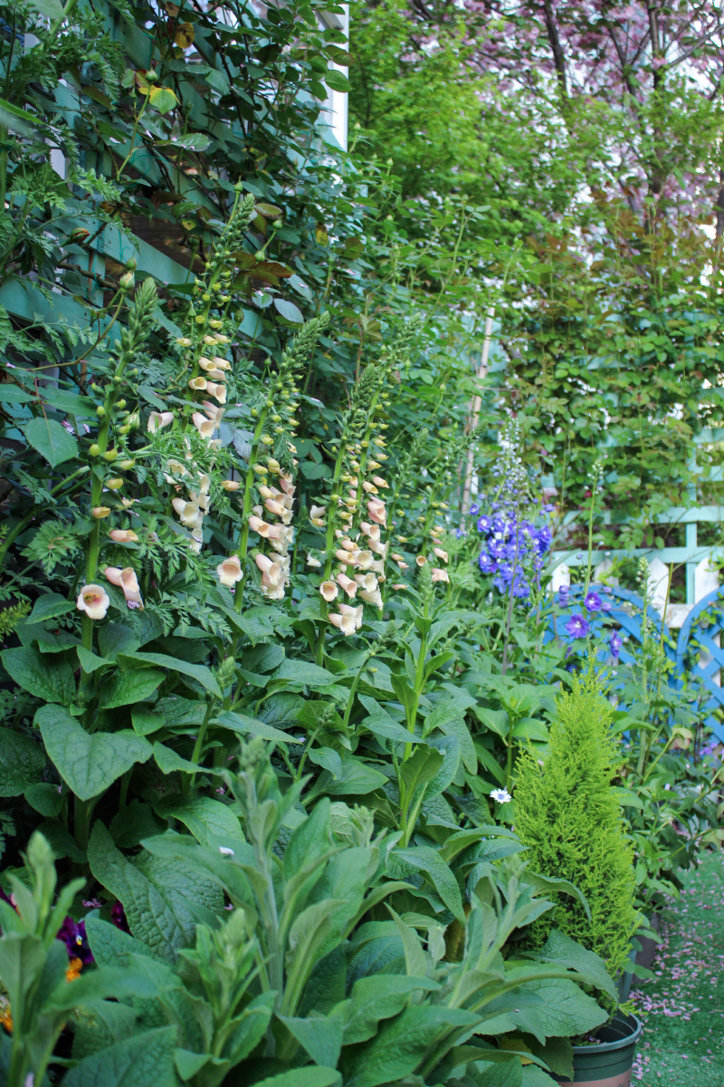 落英缤纷芳草鲜美