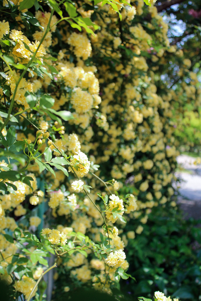 落英缤纷芳草鲜美