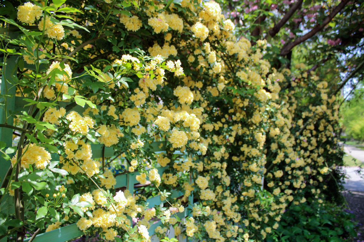 落英缤纷芳草鲜美