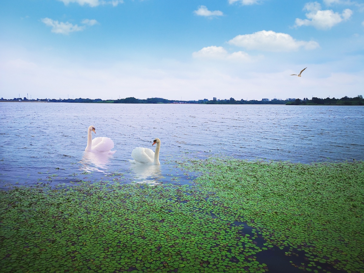 陪你一起朝朝暮暮