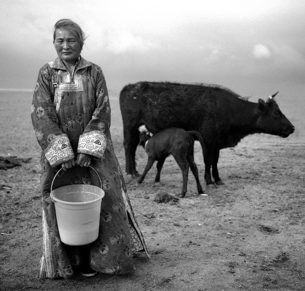 2006年8月拍摄于内蒙古锡林郭勒盟草原    挤牛奶