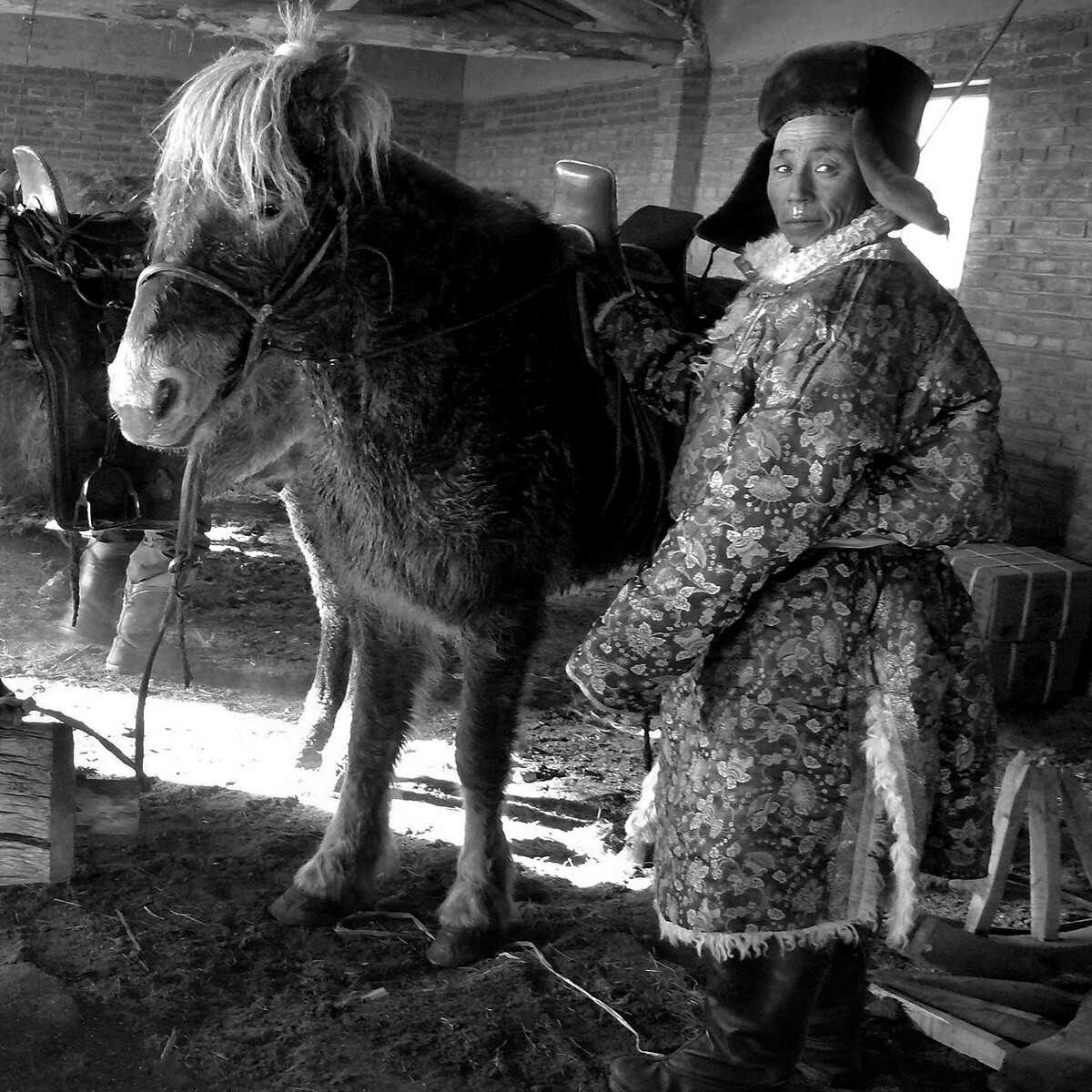 2007年12月拍摄于内蒙古锡林郭勒盟草原  迁马