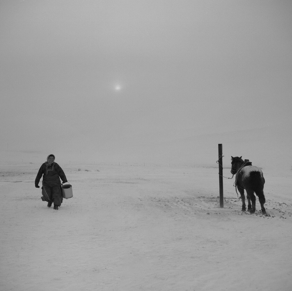 2007年12月拍摄于内蒙古锡林郭勒盟草原    喂马