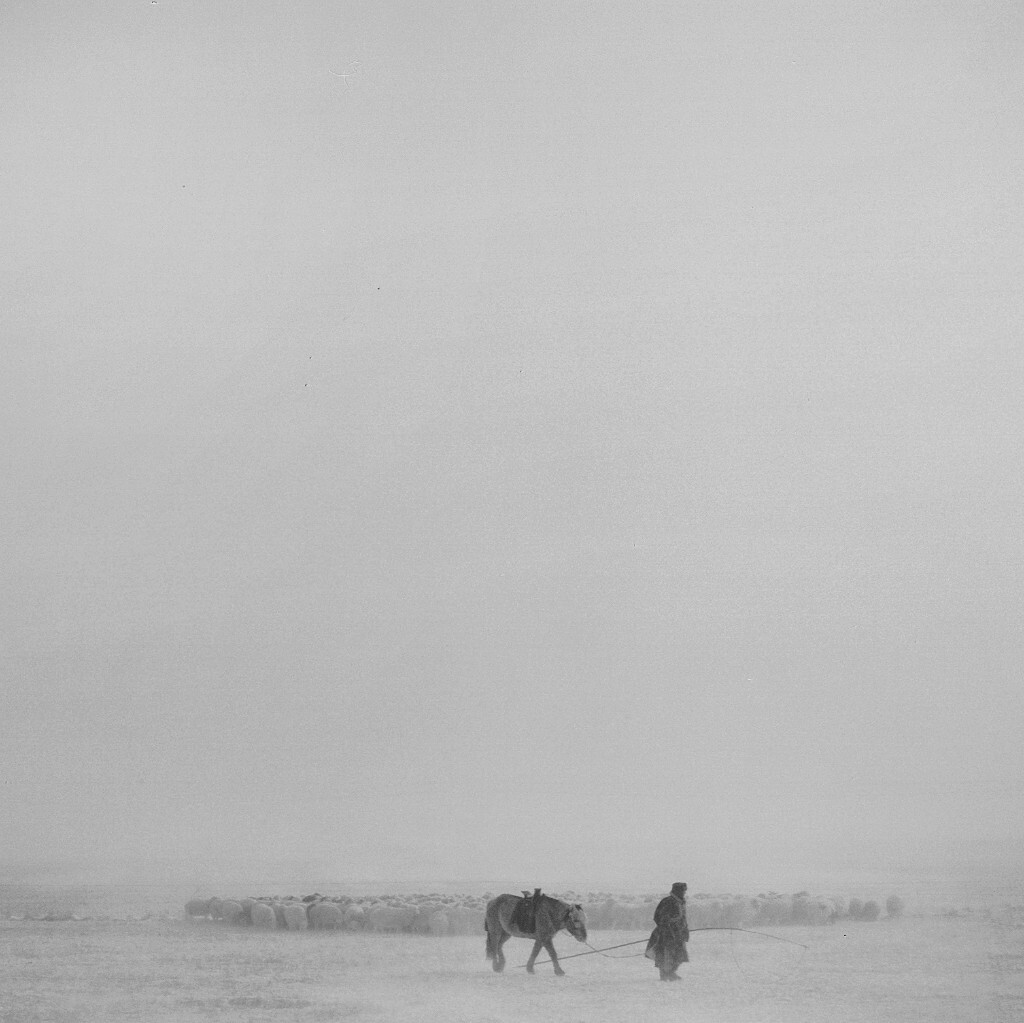 2007年11月拍摄于内蒙古锡林郭勒盟草原   回家
