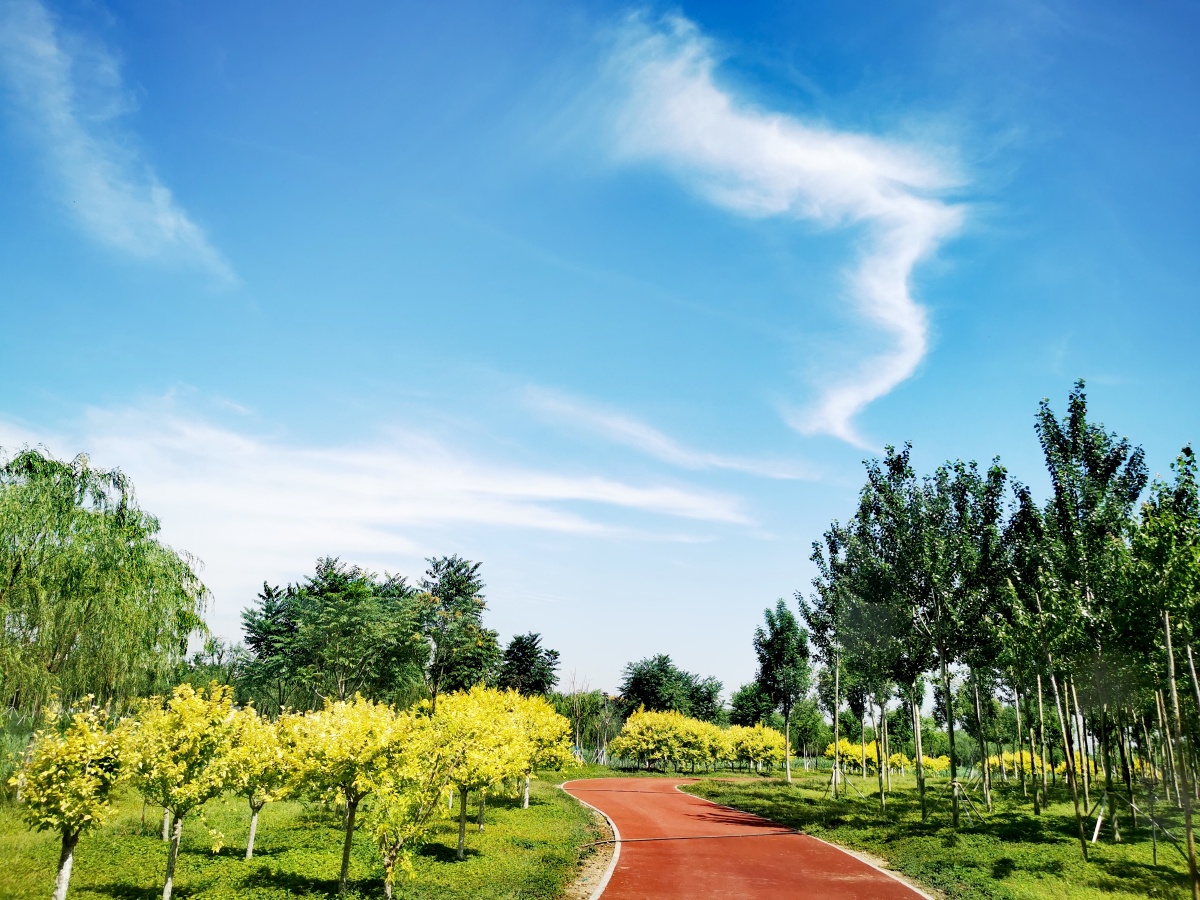 蓝天白云绿树青草健康路