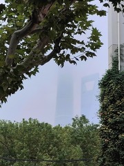 1000163640