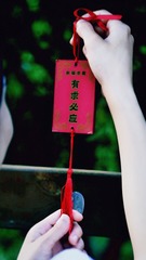 1659454