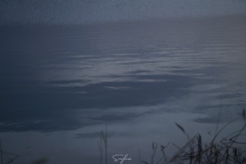 594127