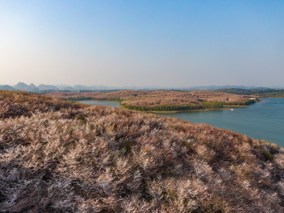 安顺平坝红枫湖
