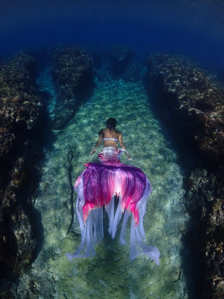 美人鱼说我的背影美吗nofin原图直出