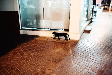 _MG_0116.jpg