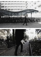 Montage II