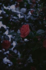 7D0C5A76-2152-46FB-B74E-75FAA738CC5D/L0/001