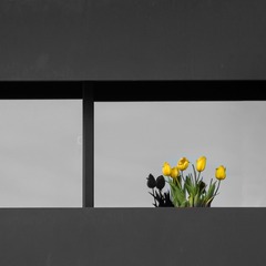 P1030378_