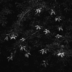 P1040221_